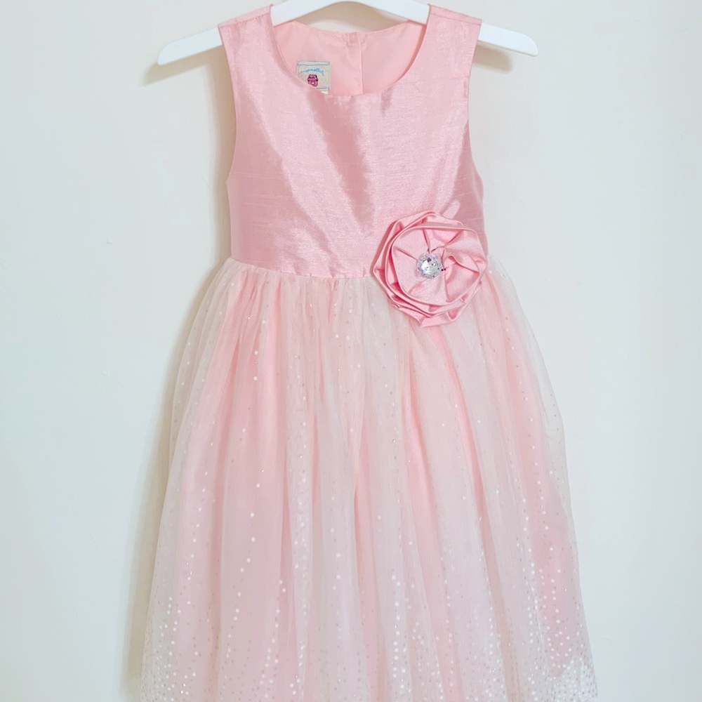 Toddler Girls Fancy Dress Size 4T